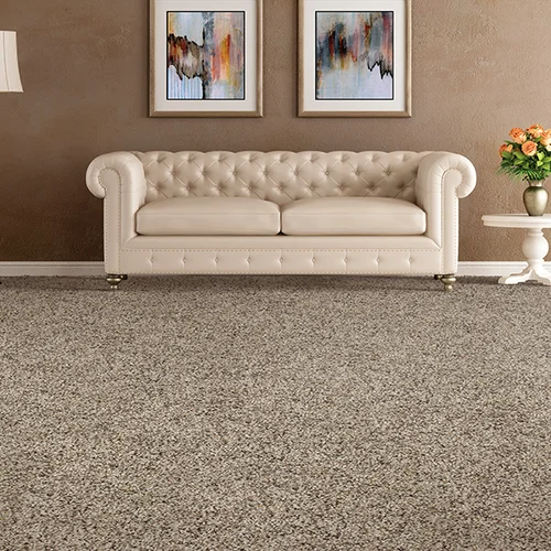 Reagan Flooring providing stain-resistant pet proof carpet in Greenwood, SC