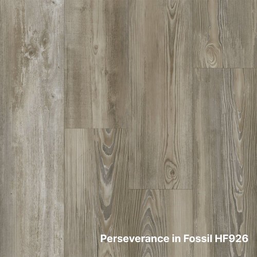 Perseverance in Fossil - from the Black Label Collection by Happy Feet flooring swatch